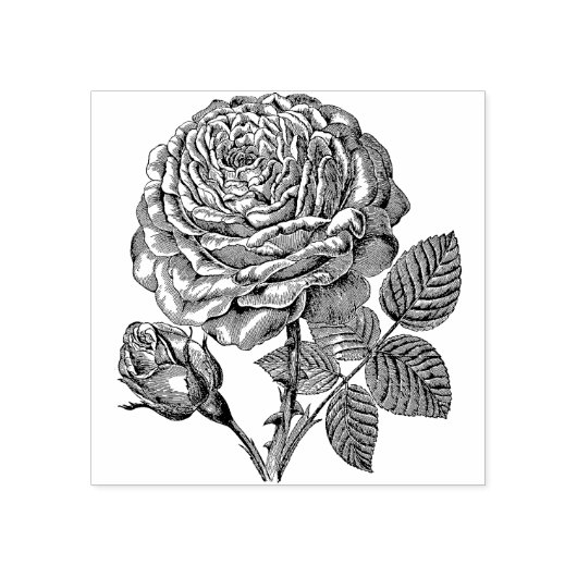 Roos Vloerrubber Stempel (Afrduk)