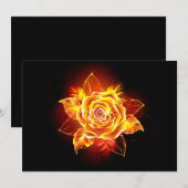 Roos voor bloei aankondiging (Voorkant / Achterkant)