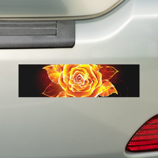 Roos voor bloei bumpersticker (Op auto)