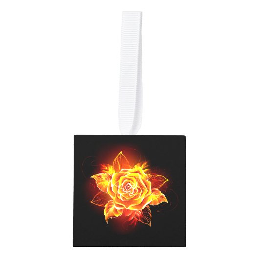 Roos voor bloei decoratie (Voorkant)