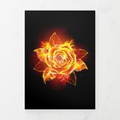 Roos voor bloei drieluik wenskaart (Cover)