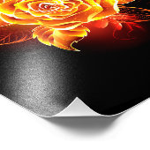 Roos voor bloei foto afdruk (Hoek)