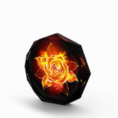 Roos voor bloei fotoblokken (Rechts)