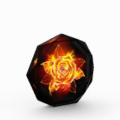 Roos voor bloei fotoblokken (Links)