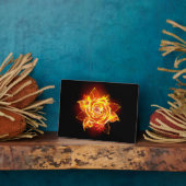 Roos voor bloei fotoplaat (Zijkant)