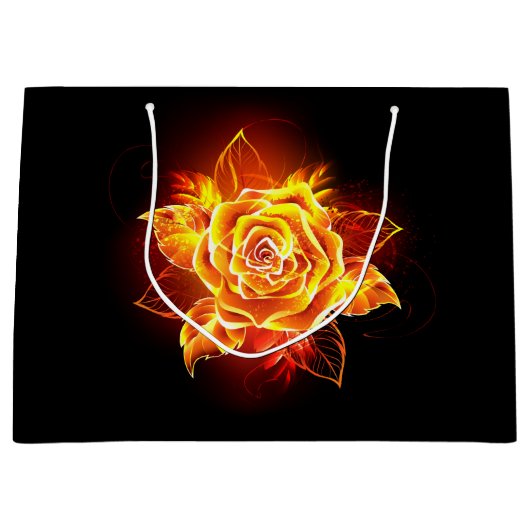 Roos voor bloei groot cadeauzakje (Voorkant)