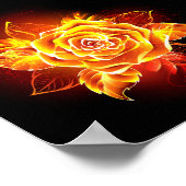 Roos voor bloei poster (Hoek)