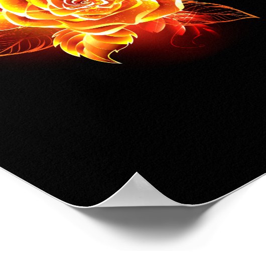 Roos voor bloei poster (Hoek)