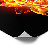 Roos voor bloei poster (Hoek)