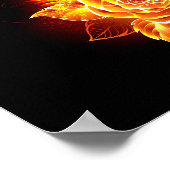 Roos voor bloei poster (Hoek)