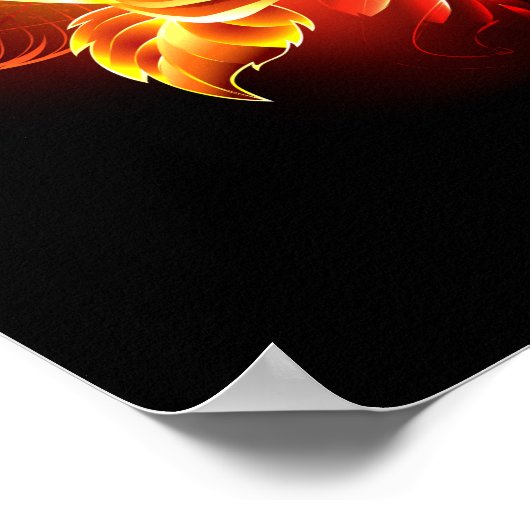 Roos voor bloei poster (Hoek)