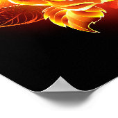 Roos voor bloei poster (Hoek)