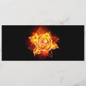 Roos voor bloei programmakaart (Voorkant)