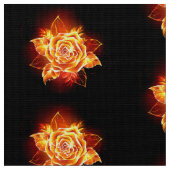 Roos voor bloei stof (Close Up)