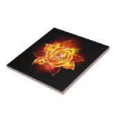 Roos voor bloei tegeltje (Zijkant)