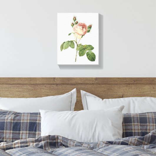 roos voor kool (Rosa centifolia) van Redouté Canvas Afdruk (Insitu (Slaapkamer))