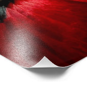 roos voor macroclose-up fotografie foto afdruk (Hoek)