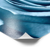 roos voor macroclose-up fotografie foto afdruk (Hoek)
