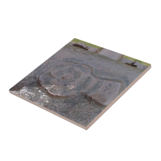 Roos voor oudere buizen tegeltje (Zijkant)