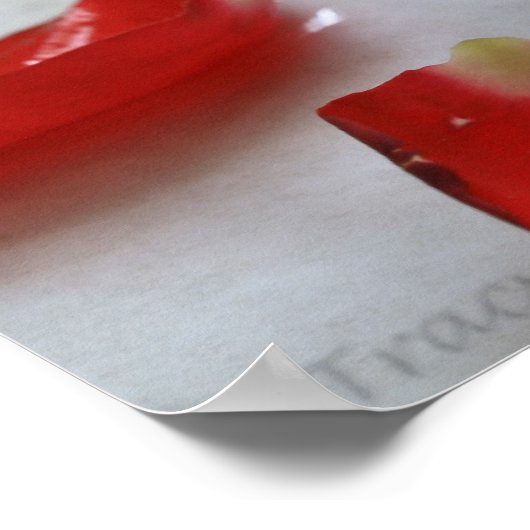 Roos voor romantiek poster (Hoek)