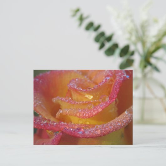 Roos Water Briefkaart (Staand voorkant)