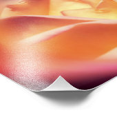 Roos Wees stil en ken Inspirerend quote 8x10 Foto Afdruk (Hoek)