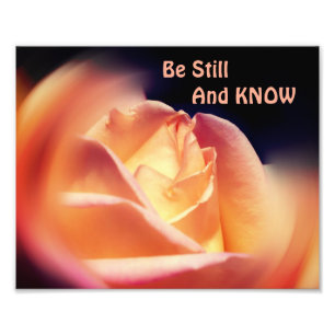 Roos Wees stil en ken Inspirerend quote 8x10 Foto Afdruk