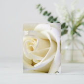 Roos White Briefkaart (Staand voorkant)