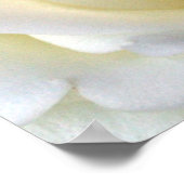 Roos White Poster (Hoek)