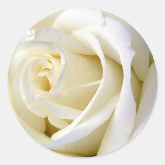 Roos White Ronde Sticker (Voorkant)