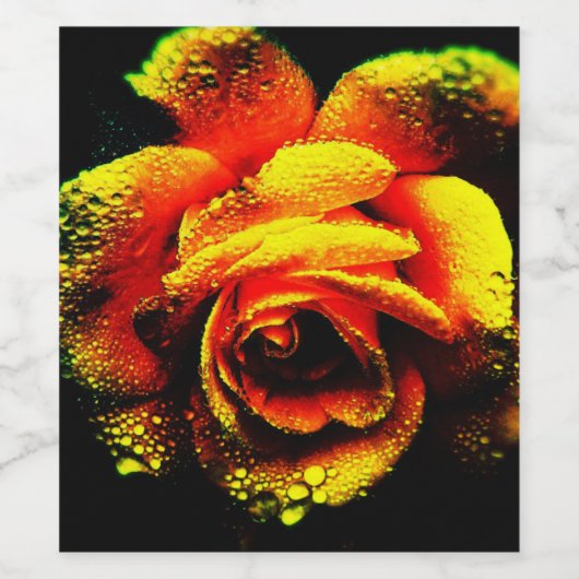 Roos Wijn Etiket (Enkel label)