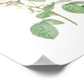 Roos Wit en Roze Tuin Poster (Hoek)