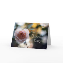 Roos - Zoek de schoonheid op de dagelijkse kaart