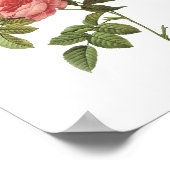 roos zonder doorsnee (Rosa inermis) van Redouté Poster (Hoek)