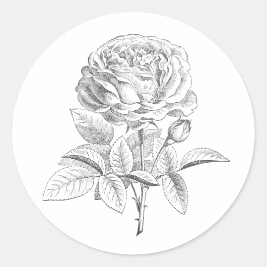  roos zwart-witte bloemensticker ronde sticker (Voorkant)