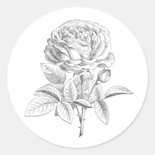 roos zwart-witte bloemensticker ronde sticker