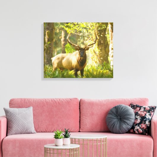 Roosevelt Elk | Nationaal park van de Olympische S Canvas Afdruk (Insitu (Woonkamer))