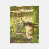 Roosevelt Elk | Nationaal park van de Olympische S Fleece Deken (Voorkant)