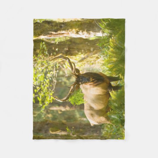 Roosevelt Elk | Nationaal park van de Olympische S Fleece Deken (Voorkant)