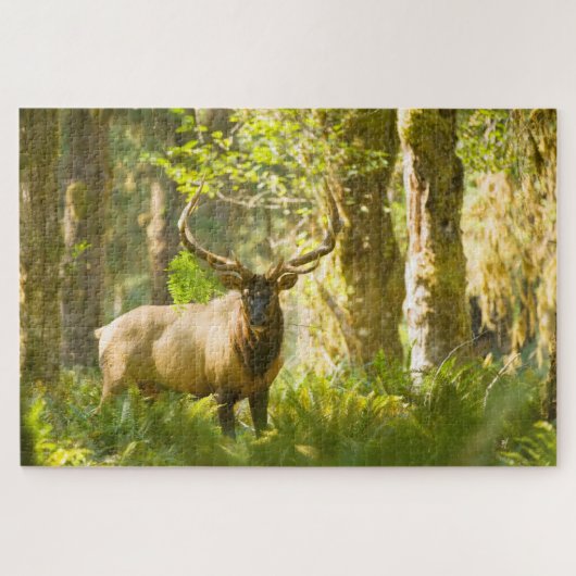 Roosevelt Elk | Nationaal park van de Olympische S Legpuzzel (Horizontaal)