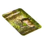 Roosevelt Elk | Nationaal park van de Olympische S Magneet (Rechterzijde)