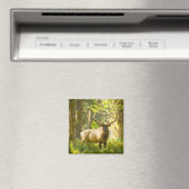 Roosevelt Elk | Nationaal park van de Olympische S Magneet (Insitu (Vaatwasser))