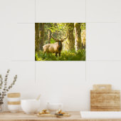 Roosevelt Elk | Nationaal park van de Olympische S Poster (Keuken)