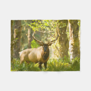 Roosevelt Elk   Olympic National Park, Washington Fleece Deken