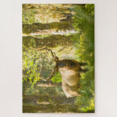 Roosevelt Elk | Olympic National Park, Washington Legpuzzel (Verticaal)