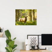 Roosevelt Elk | Olympic National Park, Washington Poster (Thuiskantoor)