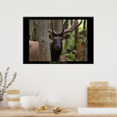 Roosevelt Elk Poster (Keuken)