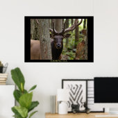 Roosevelt Elk Poster (Thuiskantoor)