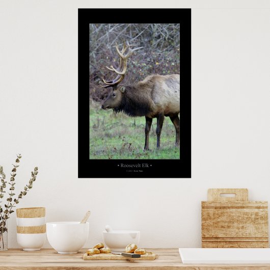 Roosevelt Elk Poster (Keuken)