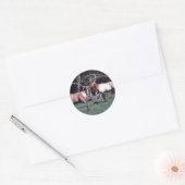 Roosevelt Elk Ronde Sticker (Envelop)